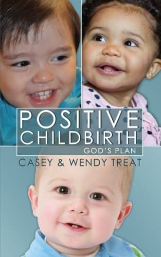 Positive Childbirth, God's Plan: Practical Wisdom for Pregnancy and Delivery Paperback – September 14, 2010
