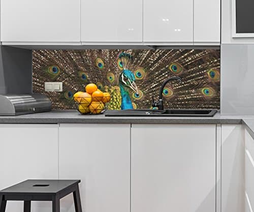 Kitchen back wall beautiful peacock Splashback Design M1005 160 x 50cm (W x H) - Brushed aluminum 3mm