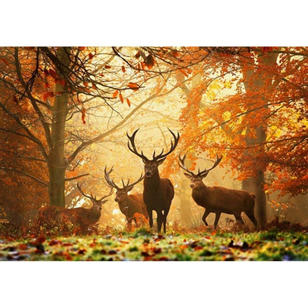 Vacally 5D DIY Diamond Painting ，Diamond Painting By Number Kits for Adults Full Square Drill Rhinestone Embroidery for Wall Decoration,Deer in The Forest