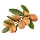 Argan Oil