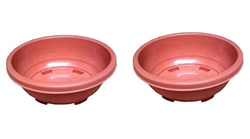KOLKATA ORCHID ONLINEPlastic Oval Pot, 12 inch, 2 Pieces