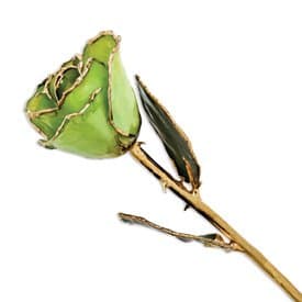 AllmygoldAllmygold 11" 24K Gold Dipped Real Rose (Peridot)