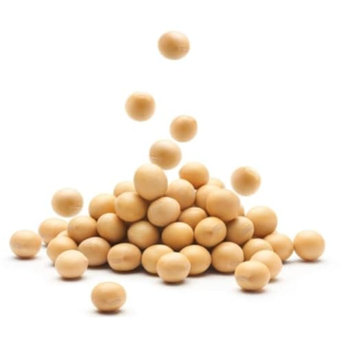 [ivenet] baby salt pure salt baby soy sauce broth baby sesame oil (Baby/Kids Soybean Paste)