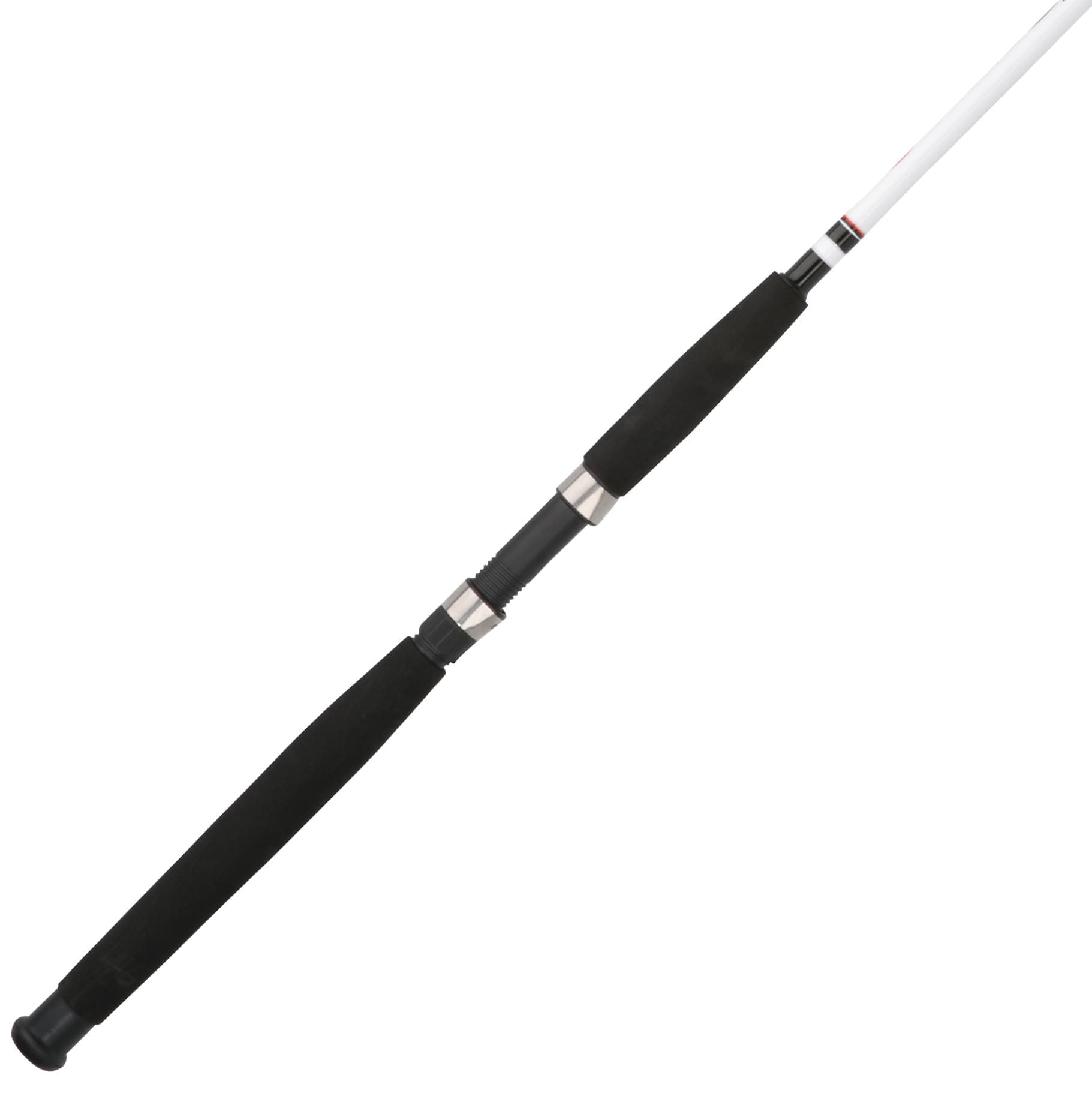 Berkley Big Game Spinning Fishing Rod