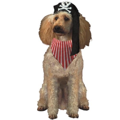 PIRATE POOCH LG - LARGE