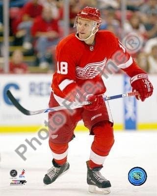 Kirk Maltby - Detroit Red Wings NHL 8x10 Photo aait187