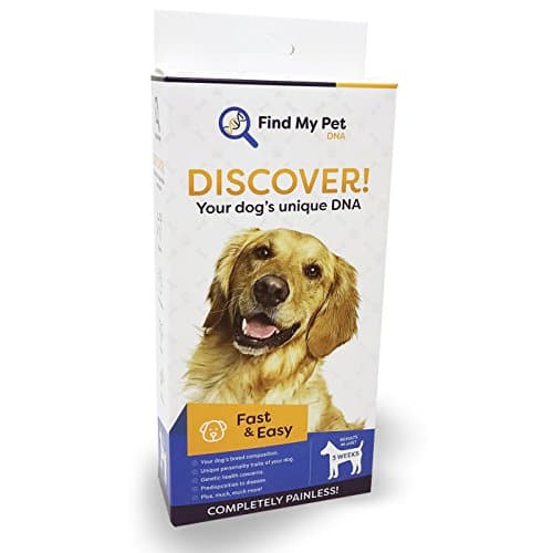 Find My Pet DNA Dog DNA Test - Dog Breed Test kit, DNA Test for Dogs, k9 DNA Test, Your Dogs DNA Matters - 1 DNA Kit for Dogs (2 Pack)