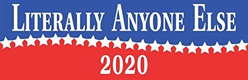 MAGNET Literally Anyone Else 2020 Magnet Decal Fridge Metal Magnet Window Vinyl 5"