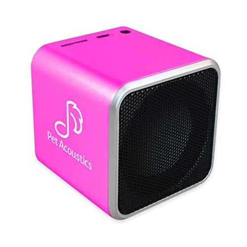 Pet Acoustics Kid Tunes