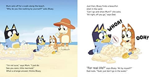 Bluey: The Beach
