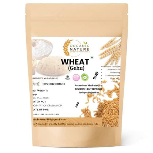 Organic Nature MP Sharbati Wheat Fresh from Farms | No Mixture | No Preservatives | Washed and Dried (Pack of 400 gms)