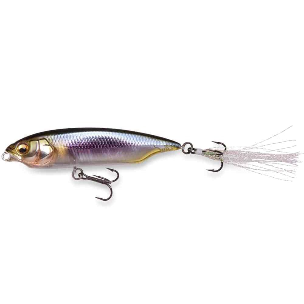 KARASHI HT Sezuki Ayu