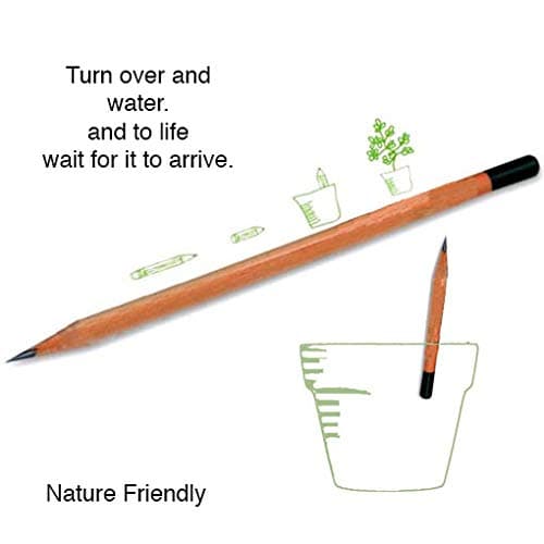 Living Pencil - Pencil - Sharpened Seed Pencil - Wooden Pencils - School Pencil - Lead Pencil - Classroom Supplies