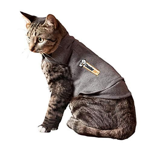 Thunder Cat Anxiety Jacket Anti-Anxiety Shirt Stress Relief Keep Calm Clothes, Heather Gray (M)