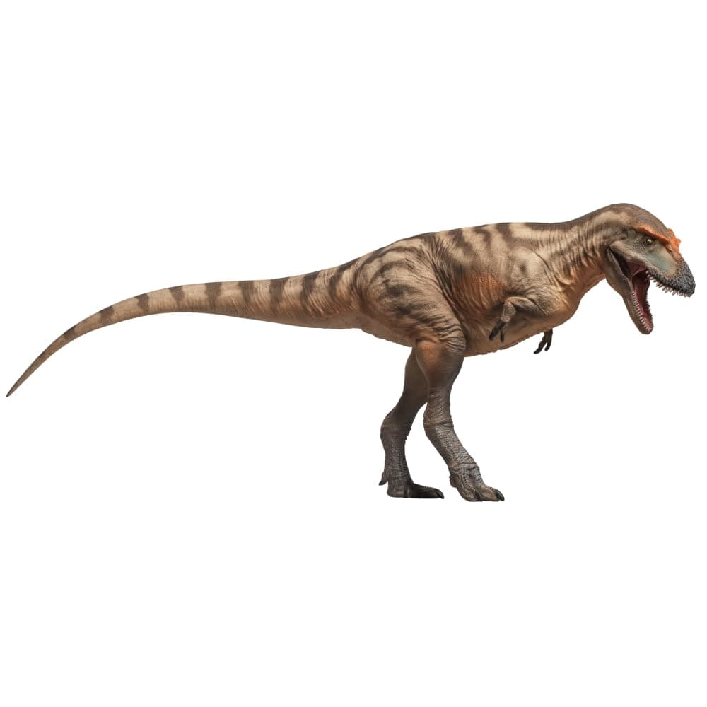 PNSO Prehistoric Dinosaur Model: (Tristan 71 Gorgosaurus)