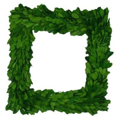 Boxwood Square Wreath [Set of 2]