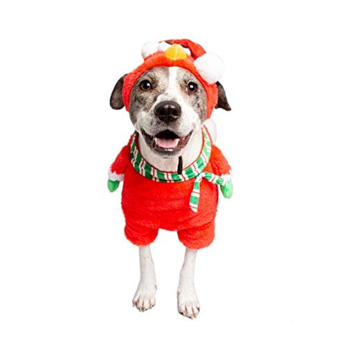 Pet Krewe Sesame Street Elmo Santa Dog Costume | Christmas Cat Costume | Two-piece Gift Set Includes Elmo Hat & Bodysuit with Scarf & Arms | Pet Costume for Small Dogs, Medium Dogs, Large Dogs & Cats