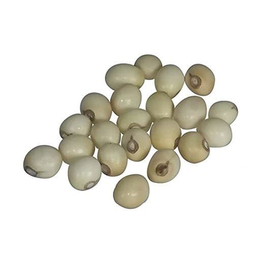 pmw 100% Natural & Rare White Gunja - Swetha Gunja - Rakt Gunja - Gurivanta - White Rosary Pea - Chanoti - Latumoni - 108 Pieces, 100 Gram