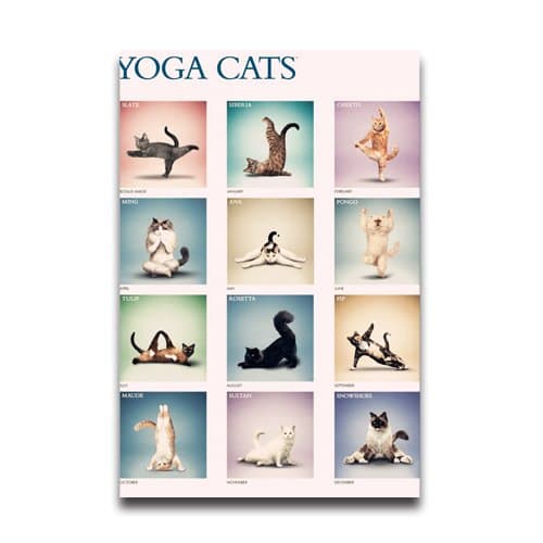 Yoga Cat Pattern All Kinds Of Yoga Poses Poster Yoga Pose Wallpaper