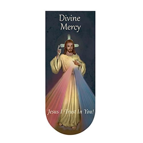 The Divine Mercy Jesus Christ Magnetic Folding Bookmark, 3 1/8 Inch