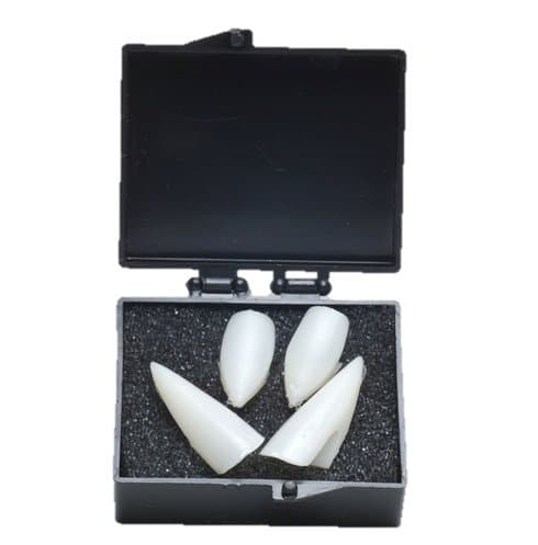 Also Cospassion Vampire Fang Cosplay Costume Halloween costume Christmas Collectibles ( Set of 4 )