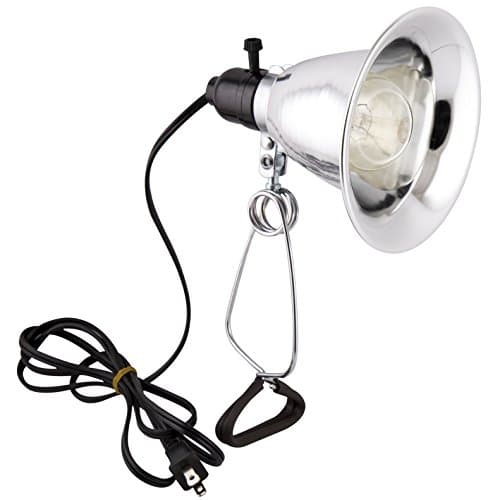 Apollo Horticulture Purple Reign 150 Watt Clip Lamp Grow Light with 5.6 Inch Reflector, 6-Foot Cord and Bulb - Clamp Lamp