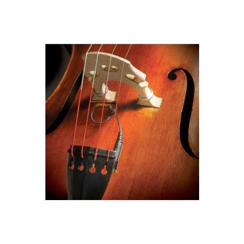 Realist RLSTSWB1 WoodTone Bass Pickup - The Most Respected Acoustic Instrument Pickup - Transparent Sound and Texture - Unmatched Dynamic Response - Self-Powered - USA Made