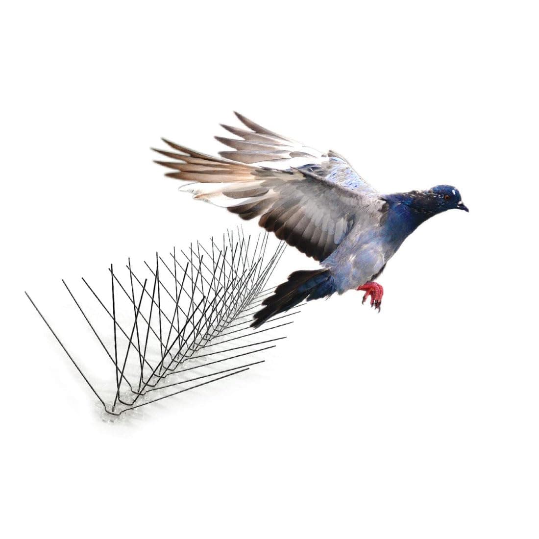 Stainless Steel Bird Spikes, 8-inch Extra-Wide Spikes, Bird Spikes for Pigeons and Other Small Birds, Easy to Install, Contains 2 ft. Strips, Covers 10 Linear Feet Area, EWS-10
