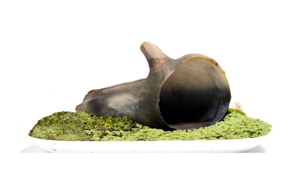 Mi Productions Ceramic Driftwood Decoration For Planted, Shrimp & Nano Aquarium / Terrarium - Dw06P