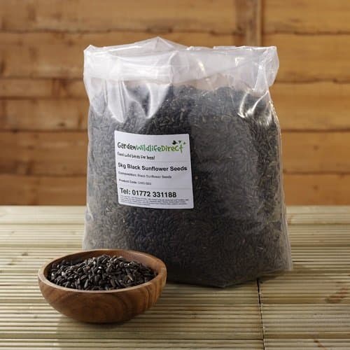 5kg Black Sunflower Seeds
