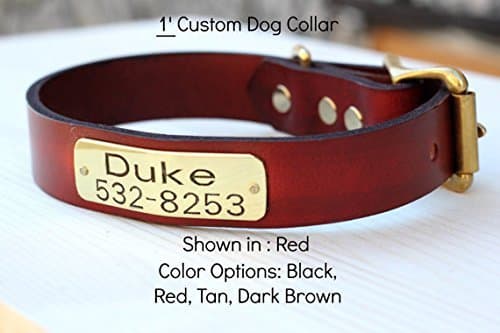 Magnus Leather Dog Collar 1" Leather with ID Plate (Large 14"-17" Hole Measurement, Premium Red)