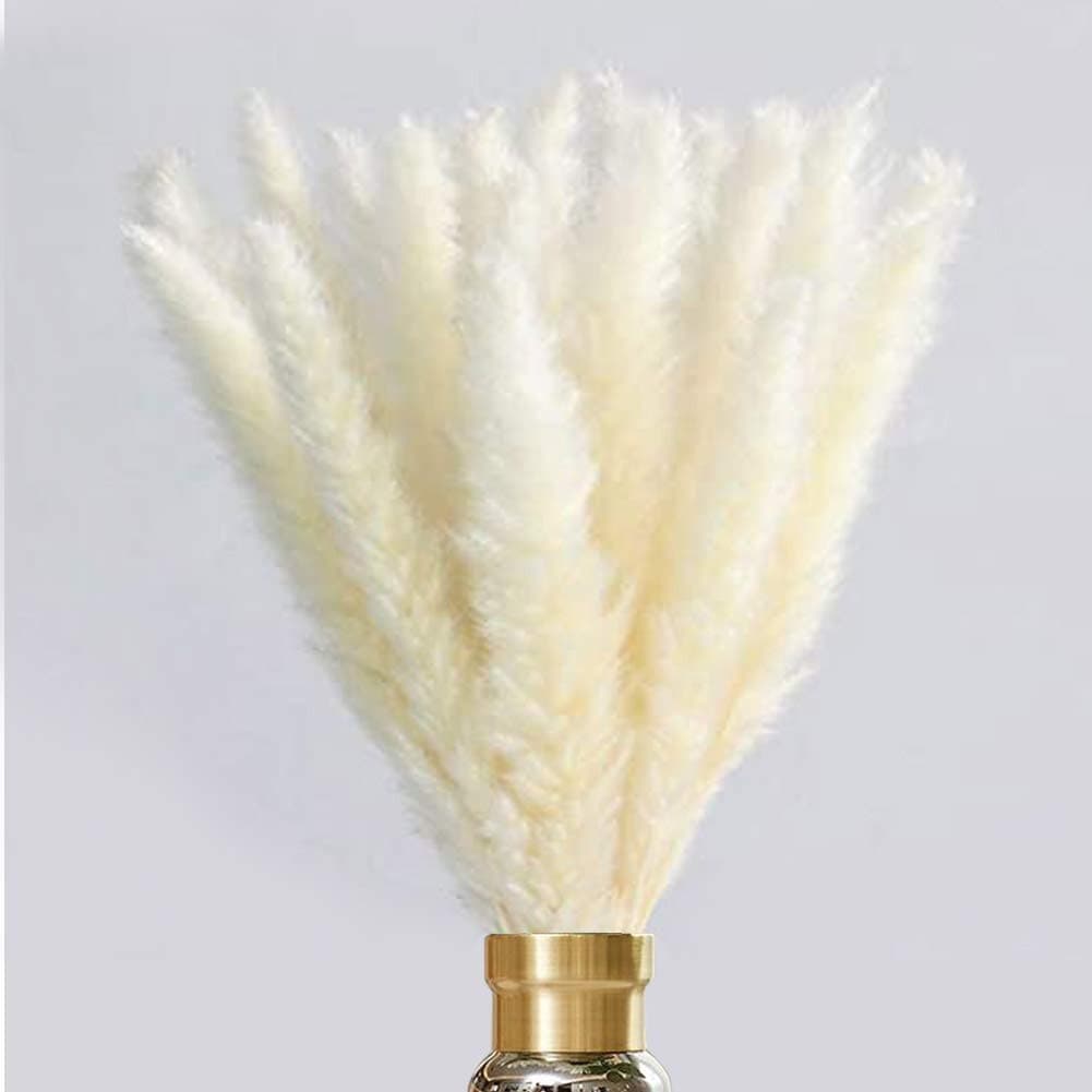 AideMeng 30PCS Dried Pampas Grass,Natural Dry Pampas Grass Dried Reed Plumes for Wedding Decor, Flower Arrangement, Home Décor (White)