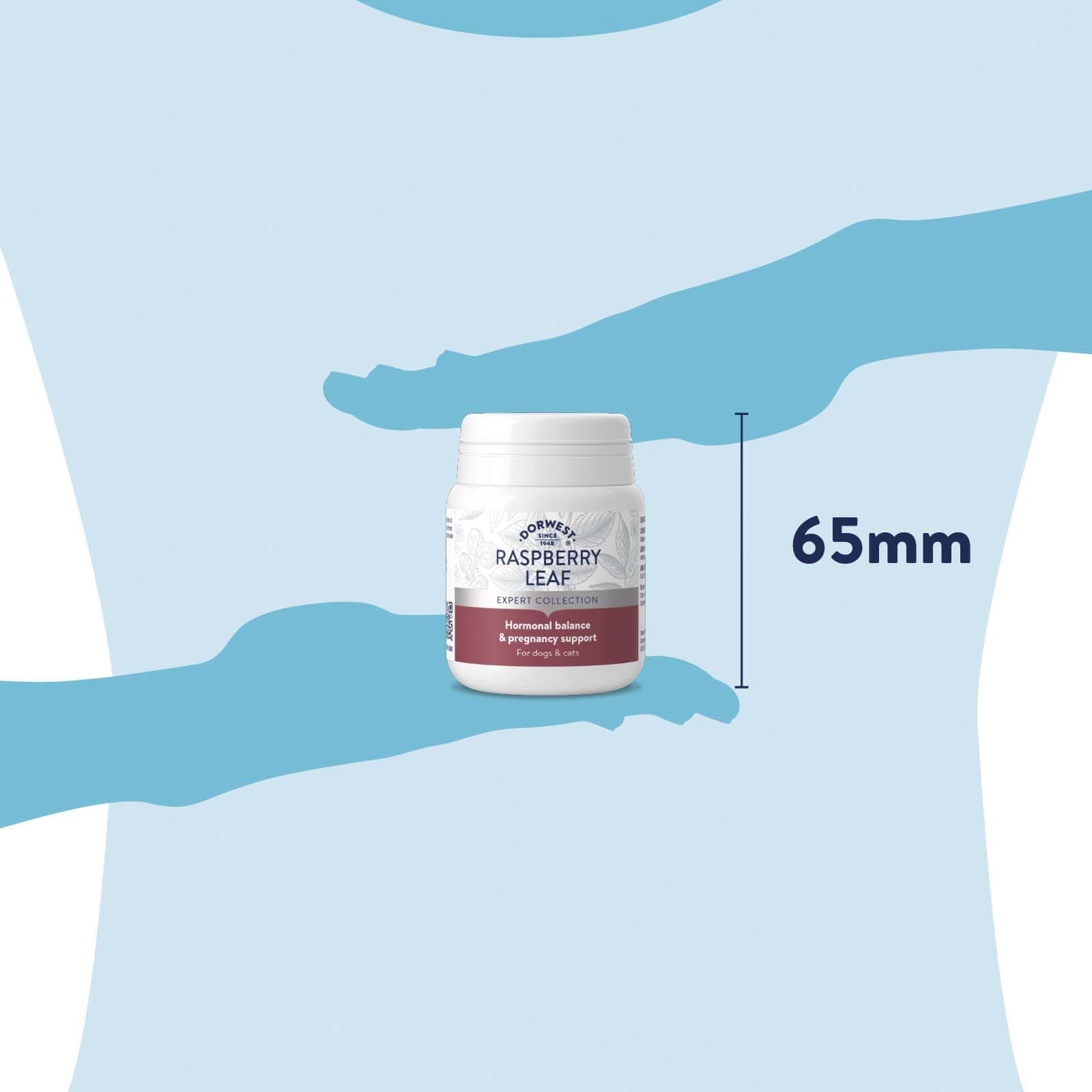 Dorwest Raspberry Leaf Tablets (Size: 100 Tablets)