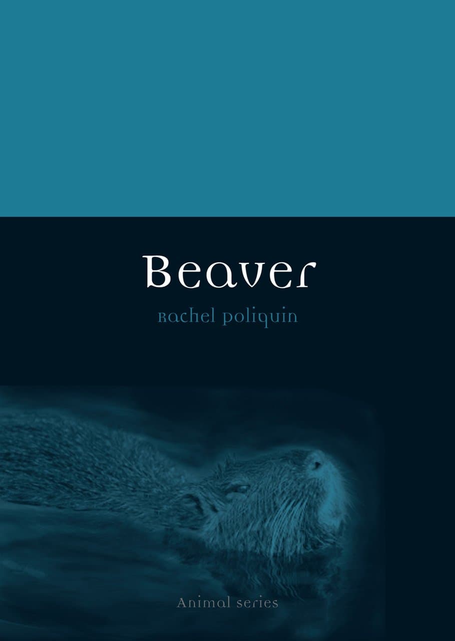 Beaver (Animal) Paperback – June 15, 2015