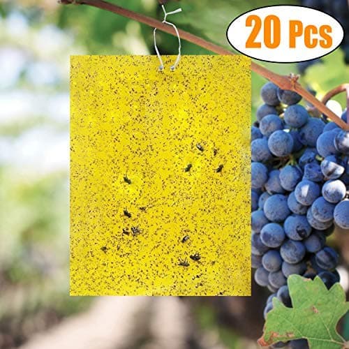 Kimimara Dual-Sided Yellow Sticky Traps, 20 Pcs Fly Paper Stickers 20x15cm Catcher Sticky Board For Multiple Flying Plant Insect (Included 20 Pcs Twist Ties)