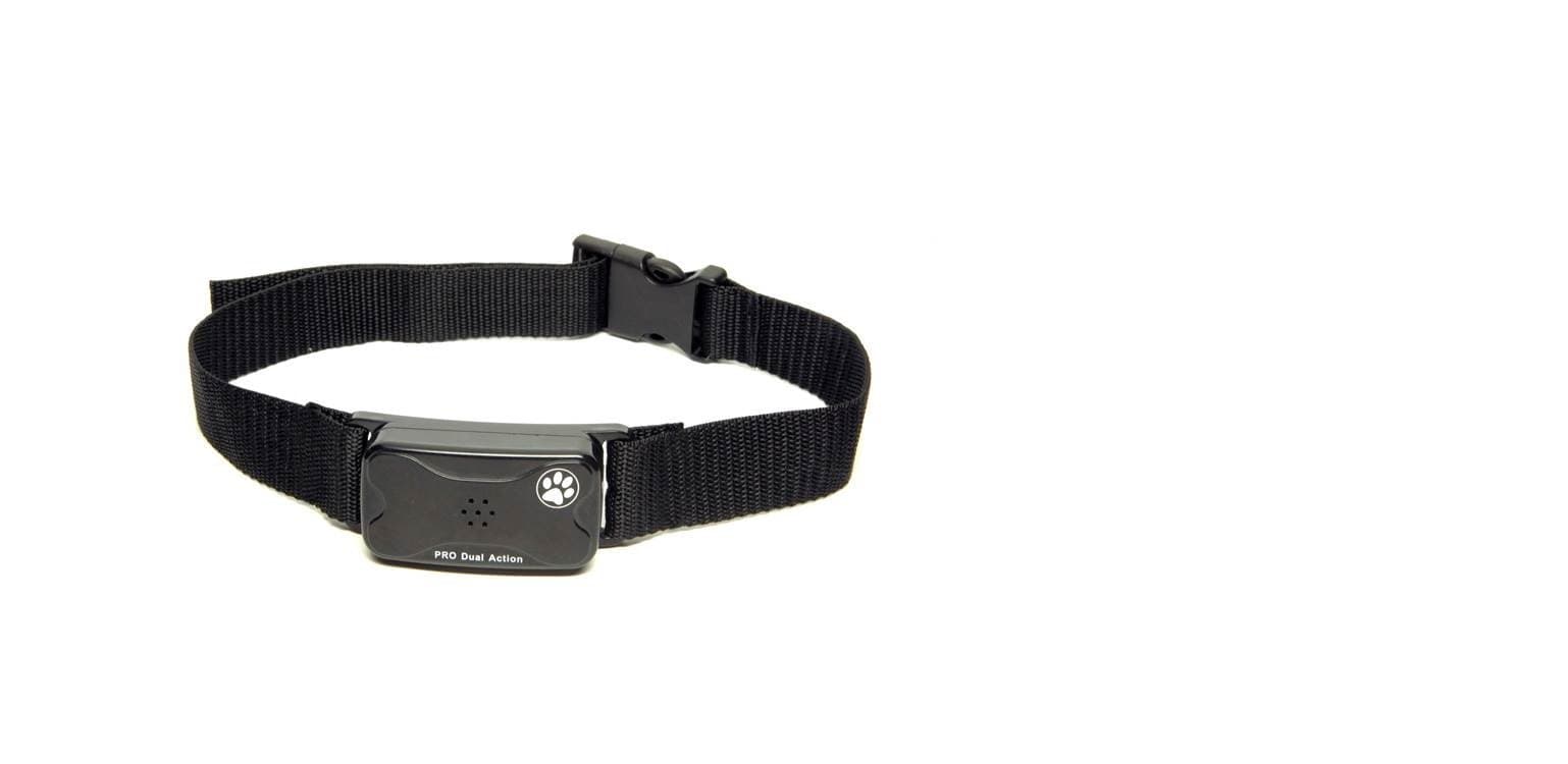 Pet Tag Pro No Bark Collar, Black, Large
