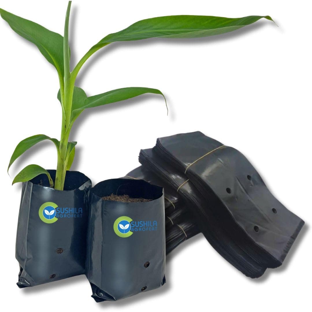 Nursery Plant Growing Bags for Seed Germination & Propagation – 5x4 Inch 250pcs UV-Protected, Indoor Outdoor Gardening, Terrace Gardening, Herbs, Vegetables, Reusable, Drainage Holes