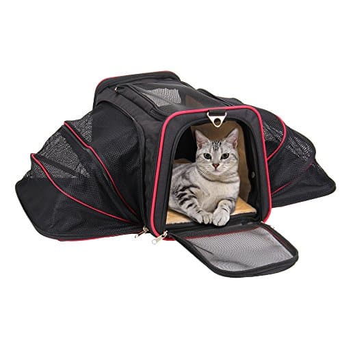 Airline Approved Cat Carrier – KiddyWoof Small Pet Carrier Travel Dog Purse Bag, Portable Soft Sided Cat Carrier with Two Side Expandable for Little Animals, Rabbit, Kitties, Kitten and Puppy