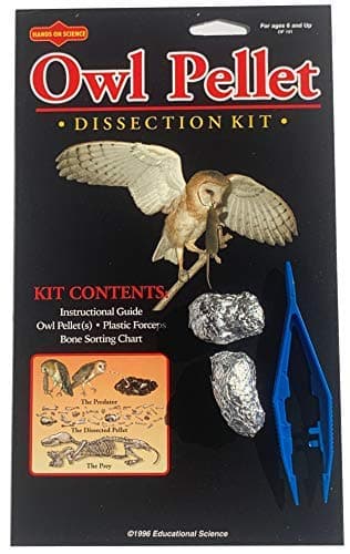 Owl Pellet Kit, 2 Pellet, Bone Sorting Chart