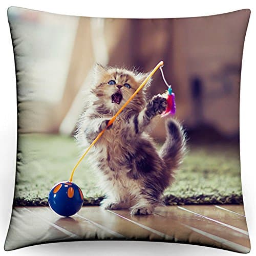 Cute pet series/Fashion photo pillow/Square cushion covers-F 35x35cm(14x14inch)