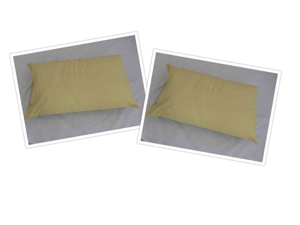 Waterproof Wipe Down Hospital Grade Medical Pillow Nursing Homes Pack of 2 Pillow Only