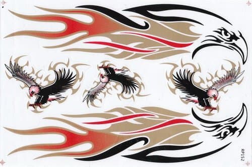 Eagle Hawk Falcon Car Sticker Racing Motorcross Decal Motorcycle Truck Graphic Logo Bicycle Bike Stickers Decoration Flames Fire