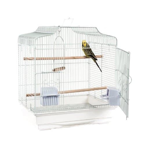 *New* Rainforest Cages Costa Rica Small Bird Cage (White)