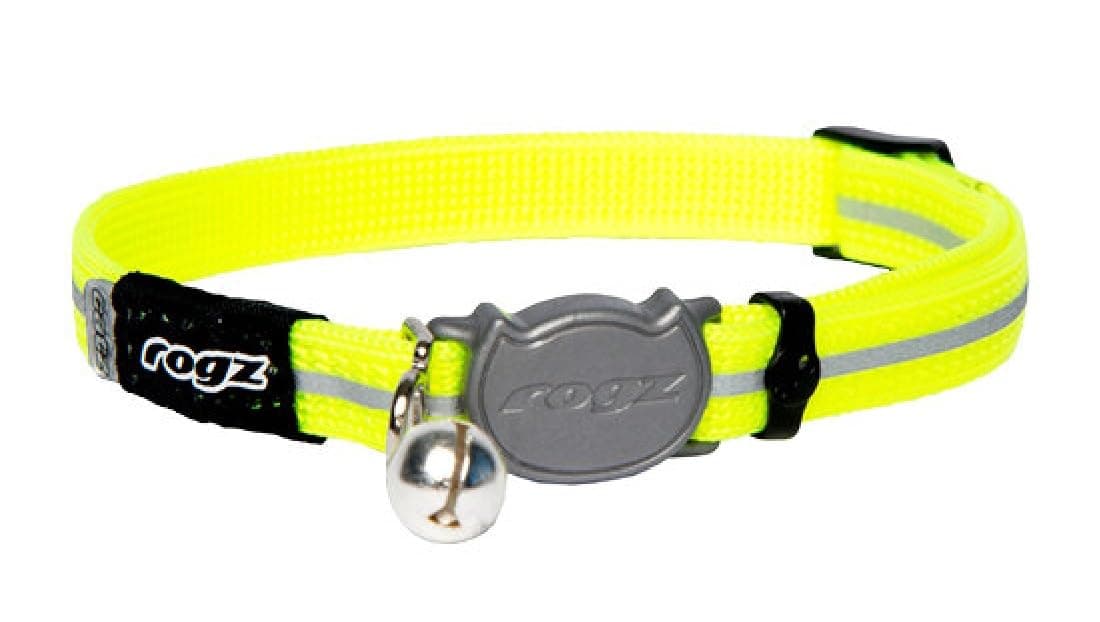 ALLEYCAT CAT COLLAR WITH BREAKAWAY BUCKLE AND NIGHT TIME VISABILITY (Daylgo))