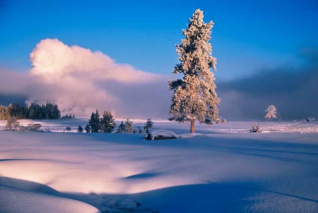 Hi-Look Inc.Hi-Look Microfiber Cleaning Cloth - Geyser Basin in Winter, Yellowstone NP
