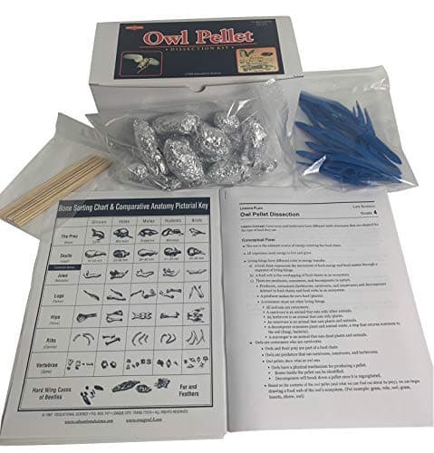 Deluxe Classroom Owl Pellet Kit, 15 pellets, OP102-15