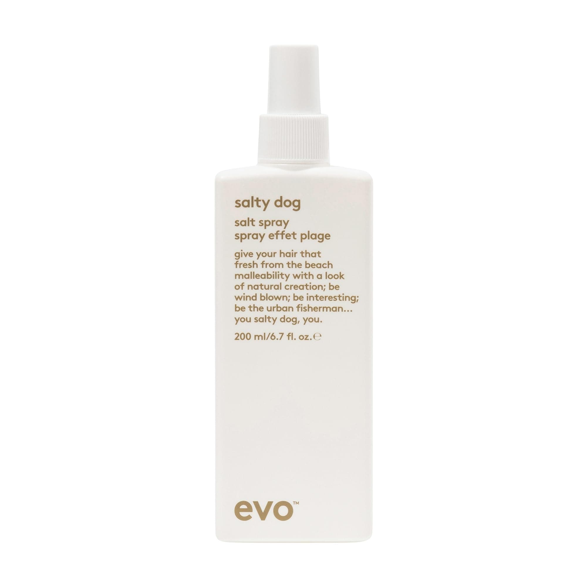 Evo Salty Dog Sea Salt Spray - Hair Texture Styling Spray for Beach Waves & Volume with Matte Finish - 50 mL, Travel Size
