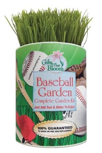 Baseball Garden Grocan