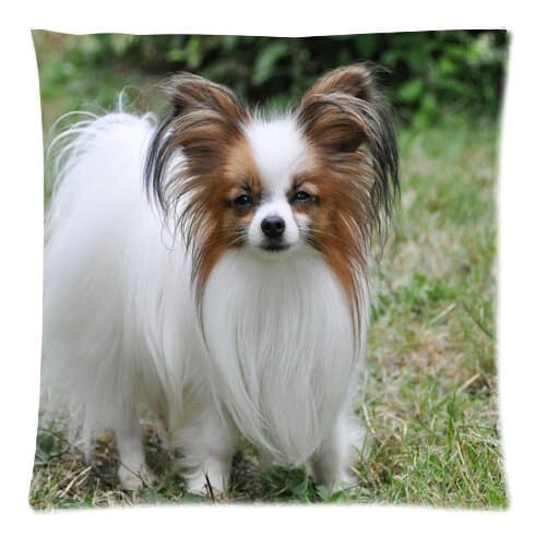 2015 New Fashion Good Quality Square 45x45cm Pillowcase, Lovely Cute Animal Papillon Dog Sleeping Cuchion Cover