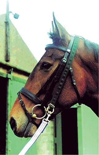 IV Horse Super Pro Easy Lunger Equestrian